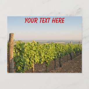 Cartão Postal Vinhas Tokaj, Postcard personalizável da Hungria