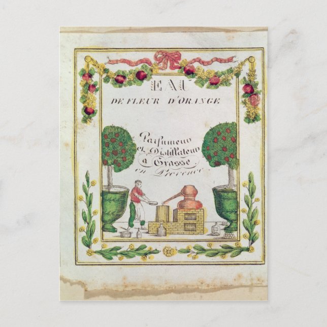 Cartão Postal Vinheta 'do d'Orange de Eau de Fleur (Frente)