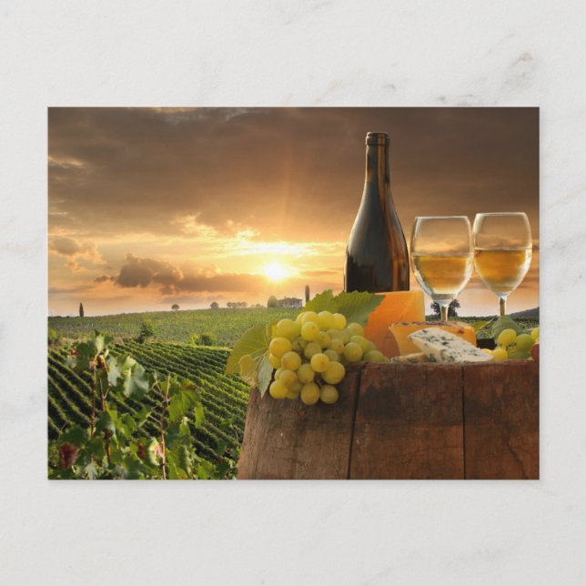 Cartão Postal Vinho Branco Com Cano No Vinear De Chianti (Frente)