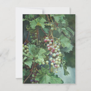Cartão Postal Vinho de Uvas Realista com Folhas - Belas Artes