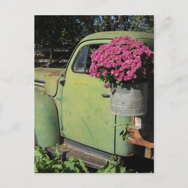 Cartão Postal Vintage (Frente)