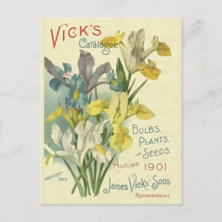 Cartão Postal Vintage 1901 Vick's Seed & Plant Catalog