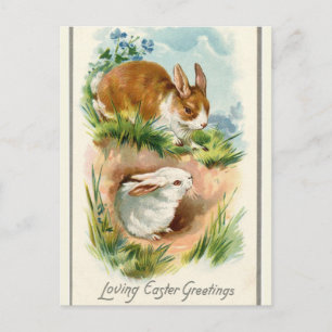Cartão Postal Vintage 2 coelhos adorando saudações de Páscoa