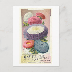 Cartão Postal Vintage Advertisement para Asters Ferry & Co.
