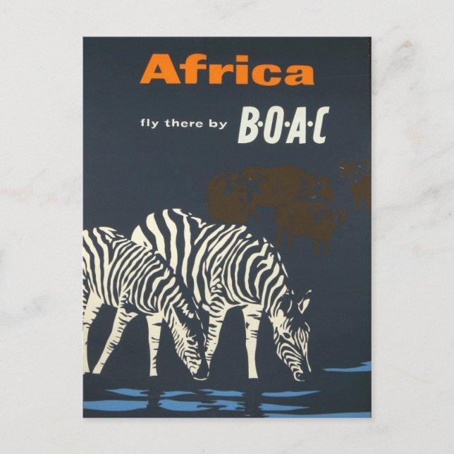 Cartão Postal Vintage Africa Zebra Viagem (Frente)