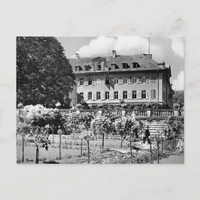 Cartão postal Vintage Alemanha (Frente)