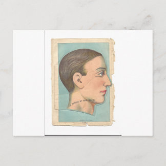 Cartão Postal Vintage Anatomy Photo Head