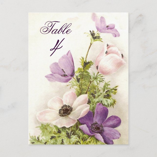 Cartão Postal Vintage Anemone (Frente)