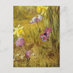 Cartão Postal Vintage Anemones e Daffodils Henry Newman