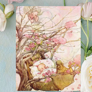 Cartão Postal Vintage Anne Anderson Bebê no Topo da Árvore