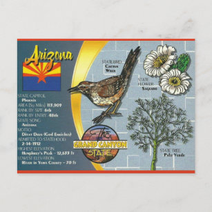 Cartão Postal Vintage Arizona, Grande Canyon