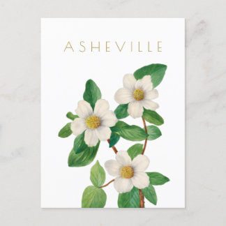 Cartão Postal Vintage Asheville viagem