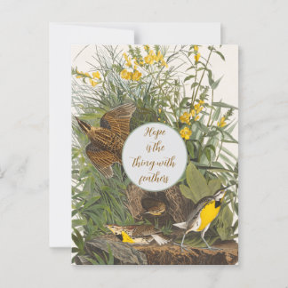 Cartão Postal Vintage Audubon Meadowlark Impressão