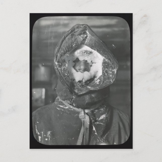 Cartão Postal Vintage Australasiana Expedição Antártica Cartaz (Frente)