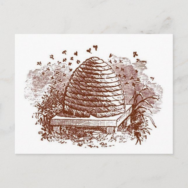 Cartão Postal Vintage Beehive Behekeet (Frente)