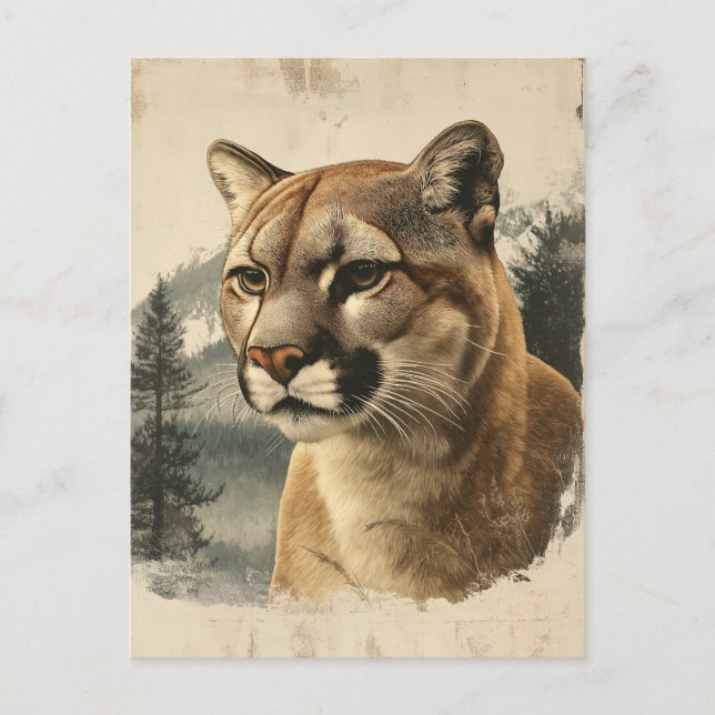 Cartão Postal Vintage Berglöwe In Winterlandschaft (Frente)