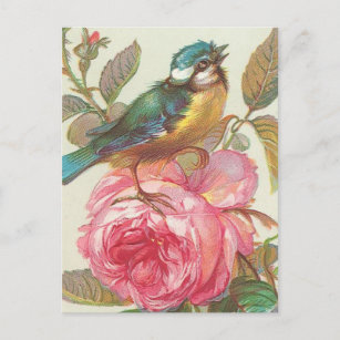 Cartão Postal Vintage bird Postcard
