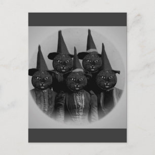 Cartão Postal Vintage Black Cat/Witages