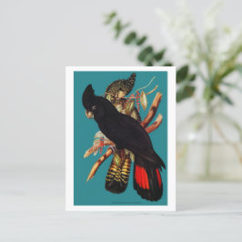 Cartão Postal Vintage Black Cockatoo | Elizabeth Gould 1800s Pos