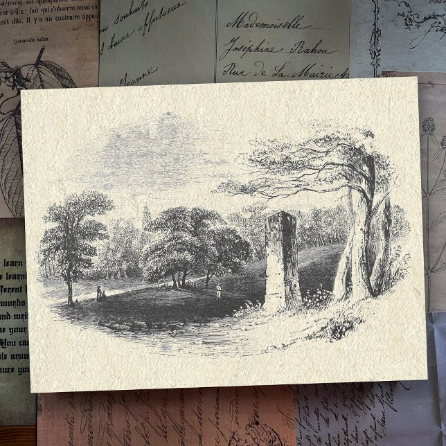 Cartão Postal Vintage Black White Countryside (Criador carregado)