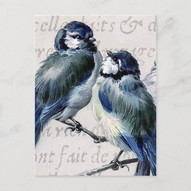 Cartão Postal Vintage Blue Birds Collage - Customized Bluebirds (Frente)