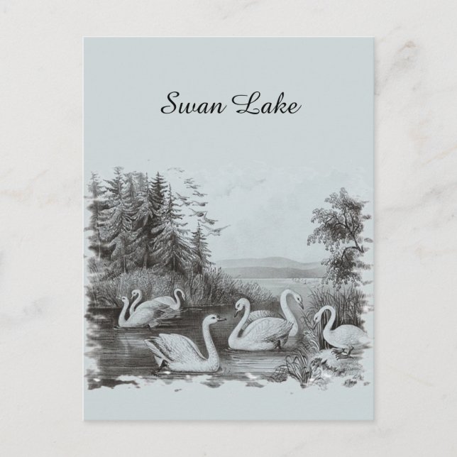 Cartão postal Vintage Blue Swan Lake (Frente)