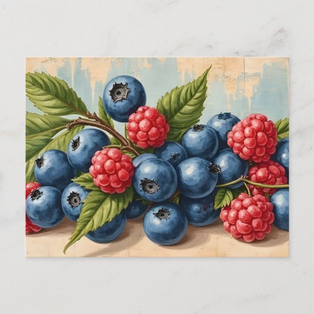 Cartão Postal Vintage Blueberries and Raspberries  (Frente)