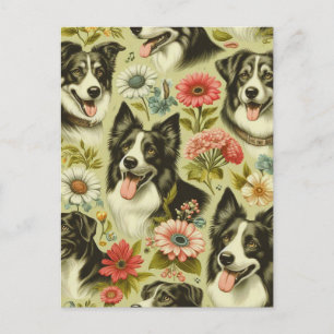 Cartão Postal Vintage Border Collie Painting