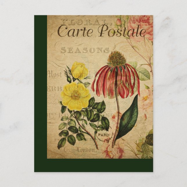 Cartão Postal Vintage Botanical French Posta Card Mix (Frente)