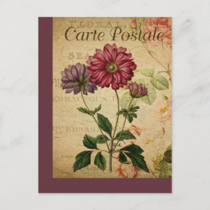 Cartão Postal Vintage Botanical Posta Card Anemone
