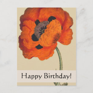 Cartão Postal Vintage Botanicals Poppy Aniversário