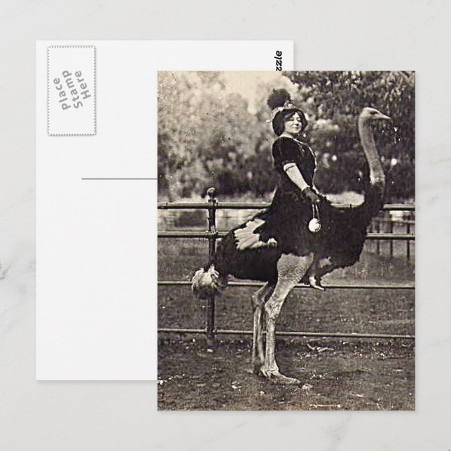 Cartão Postal Vintage Broadway Atriz pilotando um avestruz (Frente/Verso)