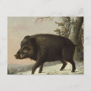Cartão Postal Vintage Brown Boar Hunting Painting, Willife Art
