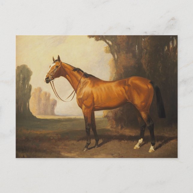 Cartão Postal Vintage Brown Thorough Horse (Frente)