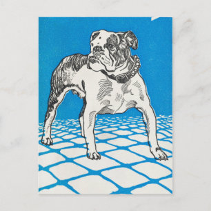 Cartão Postal Vintage Bulldog