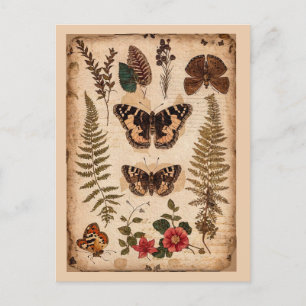 Cartão Postal Vintage Butterflies Ferns Nature Diário