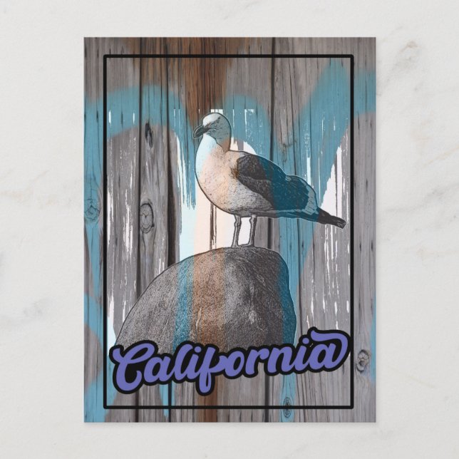 Cartão Postal Vintage California Beach Seagull Viagem (Frente)