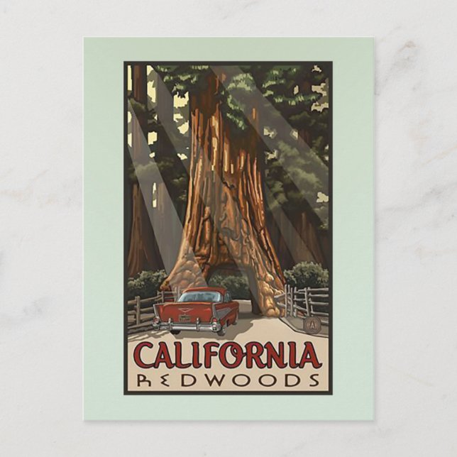 Cartão Postal Vintage California Redwoods Viagem (Frente)