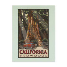 Vintage California Redwoods Viagem