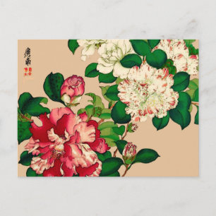 Cartão Postal Vintage Camellias Japonesas. Rosa Profundo no bege
