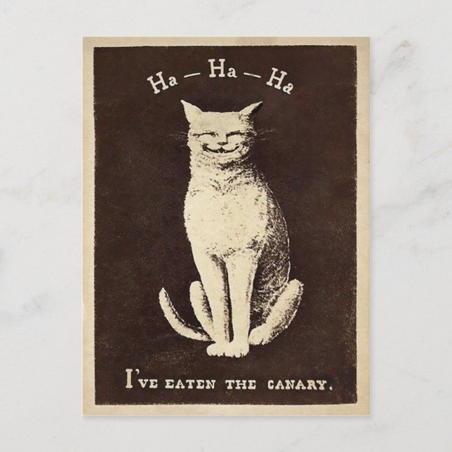 Cartão Postal Vintage Canary Cat (Frente)