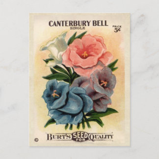 Cartão Postal Vintage Canterbury Bells Flower Seed Packet