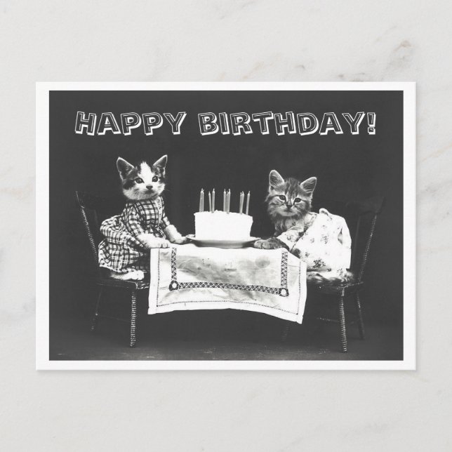 Cartão Postal Vintage Cat Birthday Cake Odddity (Frente)