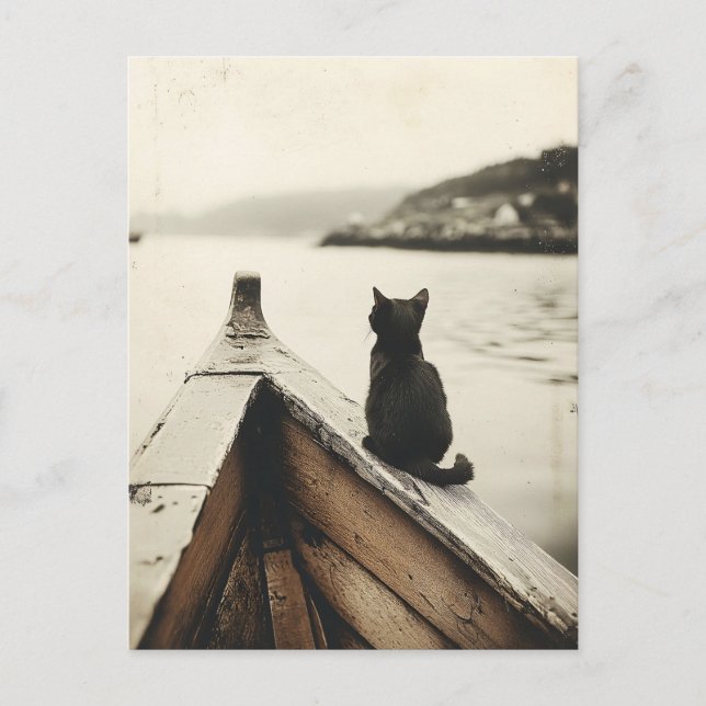 Cartão Postal Vintage Cat no boi Sepia Tone (Frente)