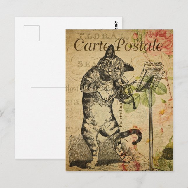 Cartão Postal Vintage Cat tocando violino (Frente/Verso)
