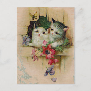 Cartão postal Vintage Cats