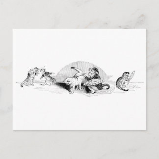 Cartão Postal Vintage Cats