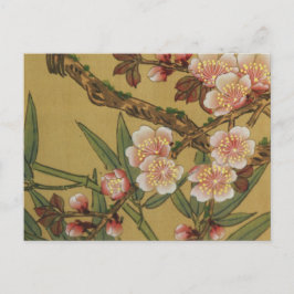 Cartão Postal Vintage Cherry Blossoms Asiáticos Flores Japonesas