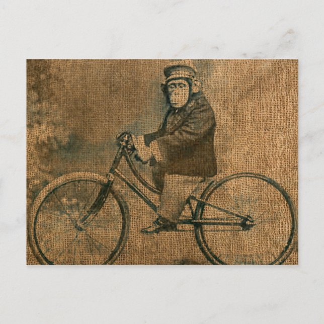 Cartão Postal Vintage Chimp Andando uma Bicicleta (Frente)