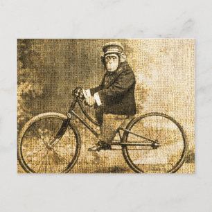 Cartão Postal Vintage Chimpanzé em uma bicicleta